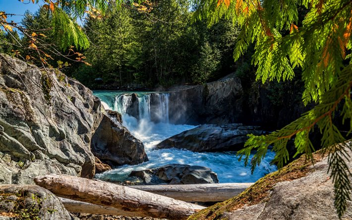 flod, vattenfall, skog, gröna träd, kanada, cheakamus river, british columbia