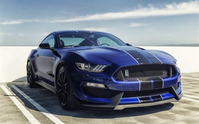 ford mustang, shelby gt350, 2016, blue mustang, blue ford, black wheels, sports car