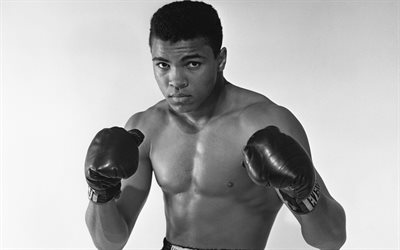 Muhammad Ali, portrait, boxing legend, monochrome, boxing, young Muhammad Ali, Cassius Marcellus Clay Jr