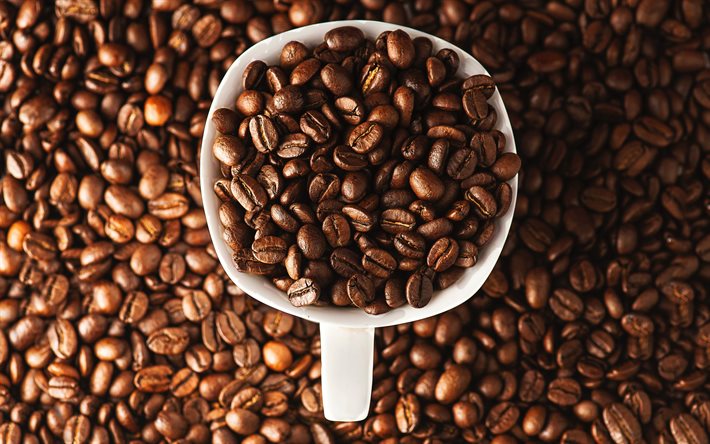 grãos de café, xícara de café, vista superior em grãos de café, conceitos de café, xícara branca, grãos de café em uma xícara