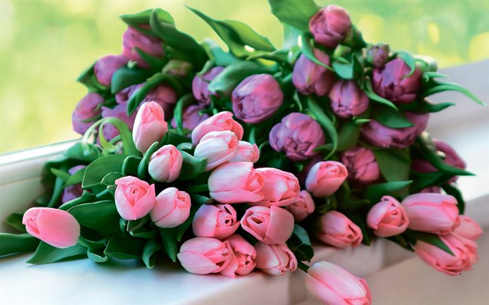 4k, गुलाबी ट्यूलिप, bokeh, ट्यूलिप का गुलदस्ता, वसंत के फूल, मैक्रो, गुलाबी फूल, गुलदस्ता, सुंदर फूल, ट्यूलिप के साथ पृष्ठभूमि, गुलाबी कलियाँ