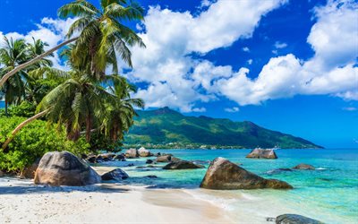 세이셸, 열대 섬, 인도양, 야자수, 해안, 여름, 해안의 야자수, 관광 여행