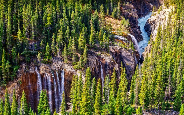 parque nacional jasper, 4k, bosque, cañón, cascadas, puntos de referencia canadienses, verano, hdr, alberta, canadá, hermosa naturaleza