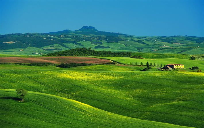 tuscany, italy, field, hills, summer