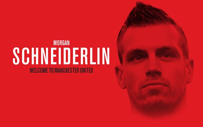 morgan nederlan, reproductor, fan art, el manchester united, morgan schneiderlin, midfielder
