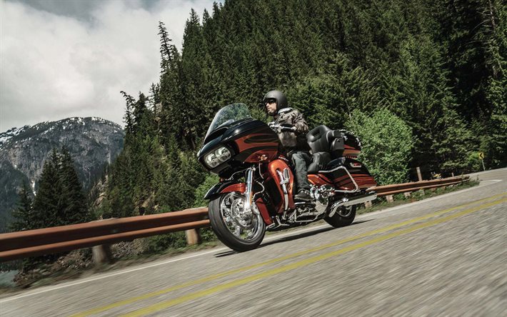 Harley-Davidson, 2015, motard