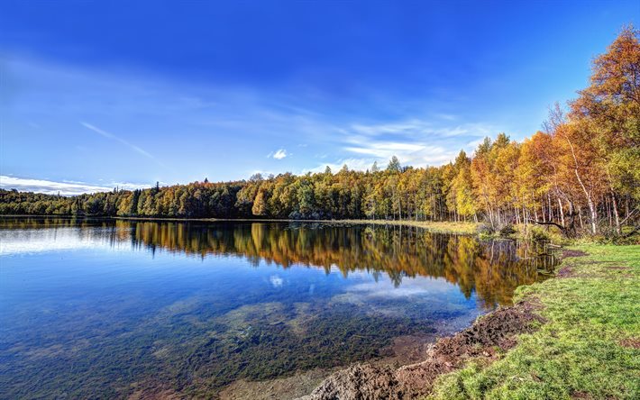 parque kincaid, o lago, outono, alasca, eua, lago campbell
