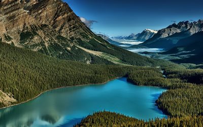 le lac peyto, des montagnes, du canada, de l'alberta