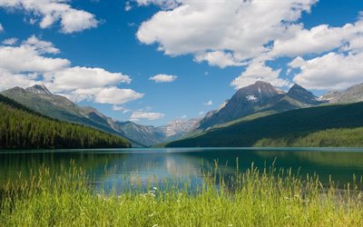 göl, dağlar, ABD, yaz, lake mcdonald