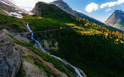 logan pass, états-unis, dans le montana, forêt, rivière, montagne, montana
