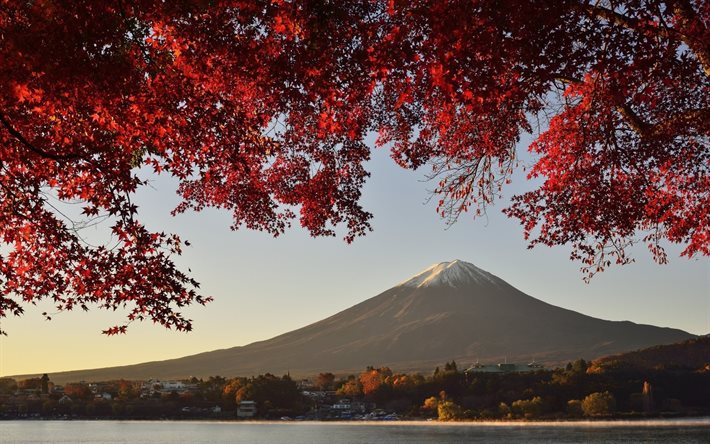 fuji, montagne, honshu, l'automne, japon