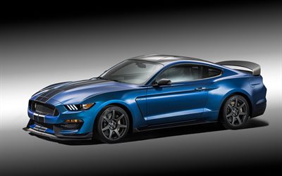 shelby gt350r, mustang, ford, 2016, sports cars