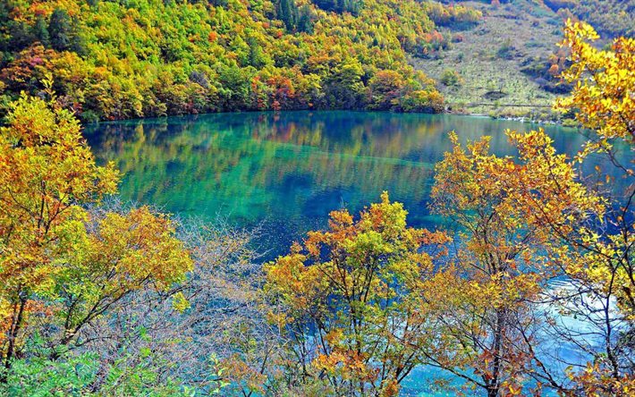 china, the lake, autumn