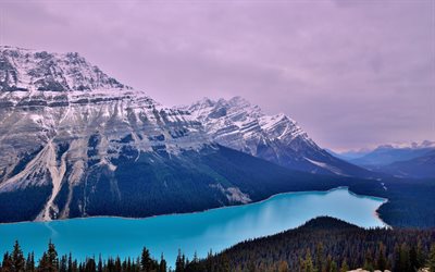 山々, peyto湖, 空, カナダ