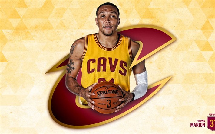 basketball player, shawn marion