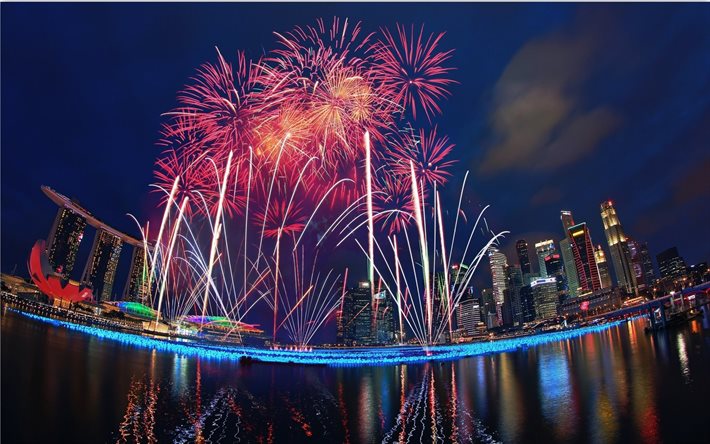salute, fiestas, fuegos artificiales, noche, singapur