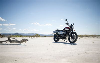 砂漠, 2015, 勝利, スクランブラ, このバイク