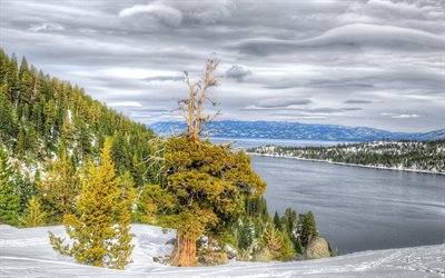 el lago tahoe, estados unidos, nevada, invierno, paisaje, lago tahoe