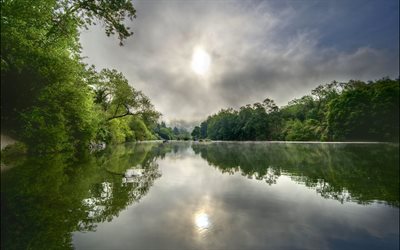 orman, healdsburg, river, Kaliforniya, ABD, güneş, Amerika Birleşik Devletleri