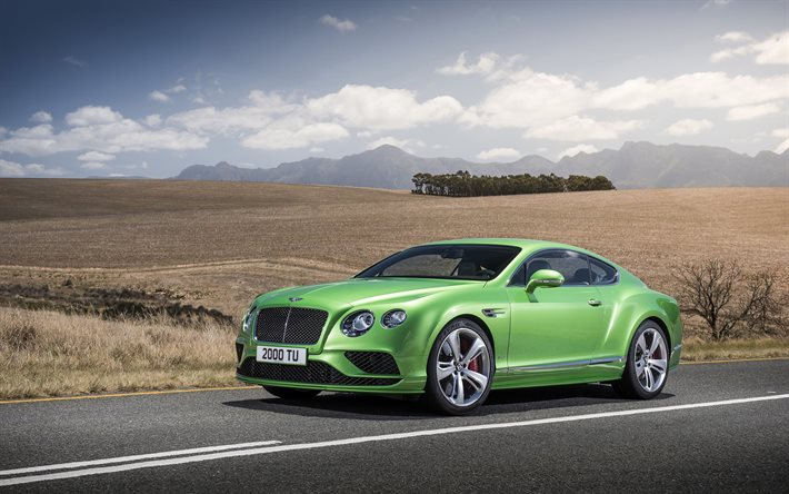coupe, 2016, bentley, continental gt, green