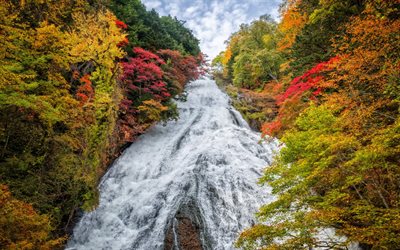 japón, yudaki cascada, bosque, cascada udachi, otoño
