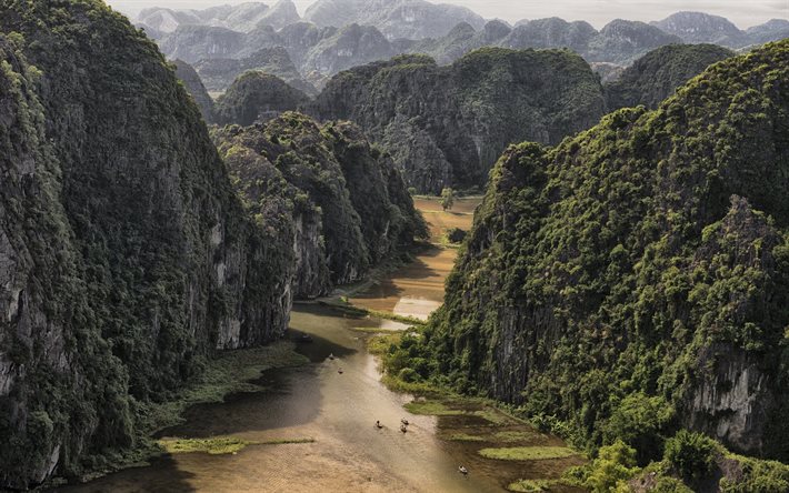 fiume, giungla, foresta, vietnam, rock, tam coc