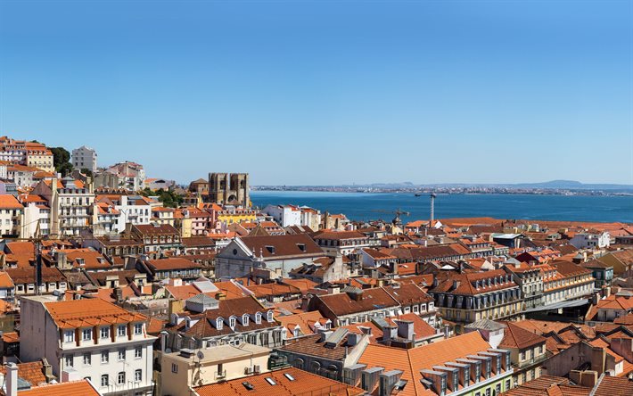 الصيف, لشبونة, بناء, البرتغال, أسطح المنازل