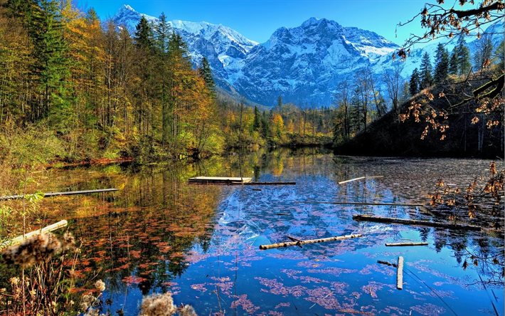 las montañas, el otoño, el lago, la región de salzkammergut, bosque, austria