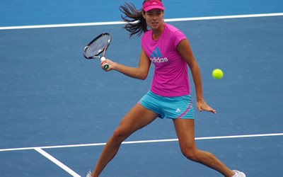 wta, ana ivanovic, the court, tennis player