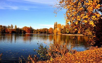 الأشجار, الفسحه, النهر emscher, الخريف, ألمانيا