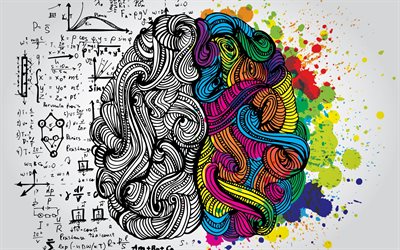 creative, hemisphere, brains human, art
