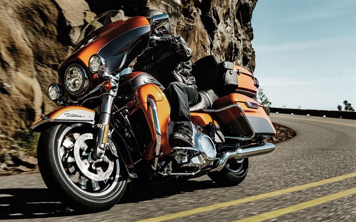 Harley-Davidson, 2015, biker