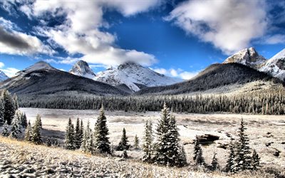 kananaskis, montañas, invierno, bosque, canadá, Alberta, Canadá