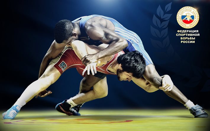 wrestlers, the fight, logo