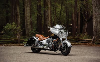 the bike, 2016, forest, indian chieftain, classic