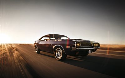 road, dodge challenger, musculary