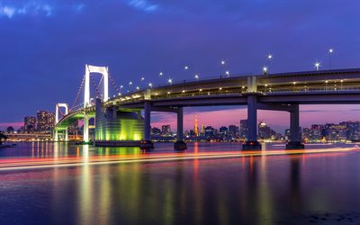 a capital, japão, tóquio, noite, a ponte