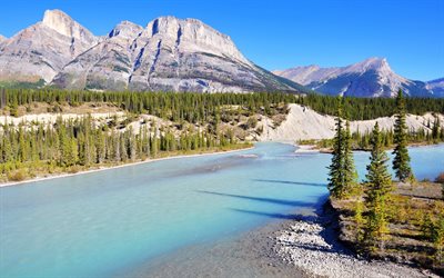 mountains, forest, the river bou, canada, summer, bow river