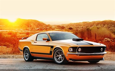 musculary, sunset, ford mustang