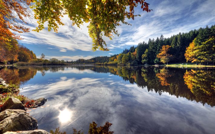 Deininger Weiher, automne, forêt, lac, réflexion, Германия
