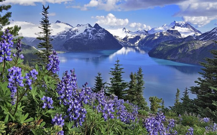 Canadá, las montañas, la primavera, el lago