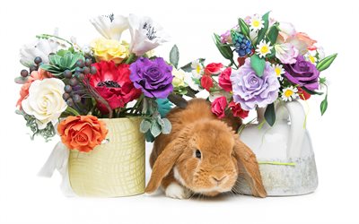 Bahar, tavşan, bahar çiçekleri, sevimli hayvanlar, Paskalya