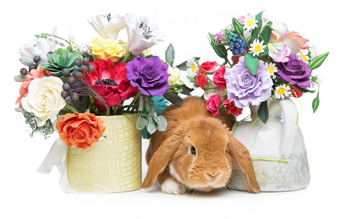 Spring, rabbit, spring flowers, cute animals, Easter