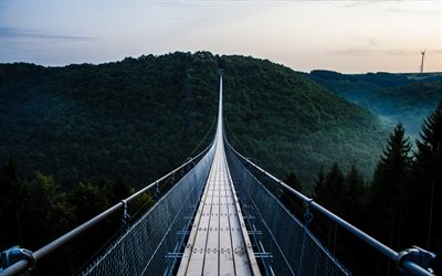 suspension bridge, sunset, mountain valley, forest, evening, ropes, weightlessness