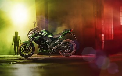 motociclista, hangar, 2016, Kawasaki Z300, moto sportive, verde kawasaki