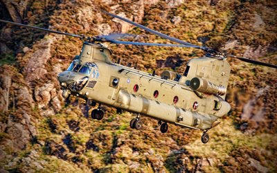 4k, Boeing CH-47 Chinook, cargo helicopters, Royal Air Force, British army, military transport helicopter, Cargo Helicopters, flying helicopters, Boeing, aircraft