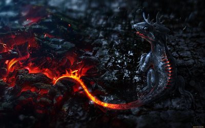 petit dragon, le feu, la nuit, des braises, les dragons