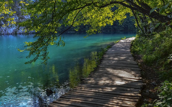 fiume, il ponte, paesaggio, croazia, laghi di plitvice, il sentiero