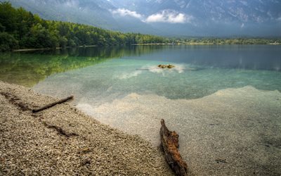 le lac de bohinj, le nord de la slovénie, paysage