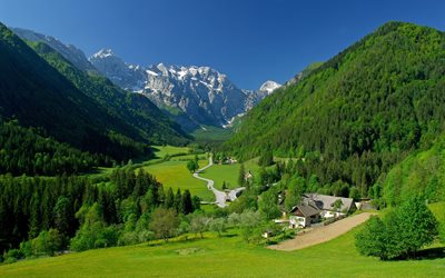 mountains, alpine valley, field, spring, landscape
